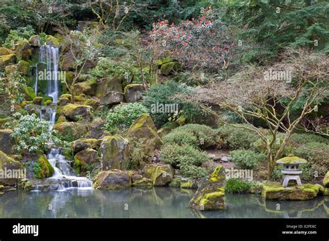 United States, Oregon, Portland, Washington Park, Japanese garden ...