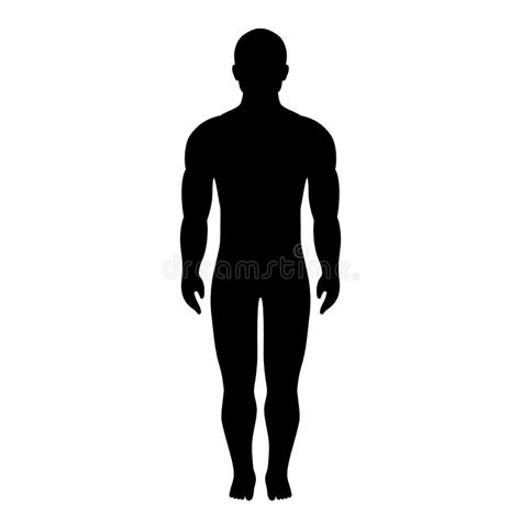 Human Body Silhouette Vector