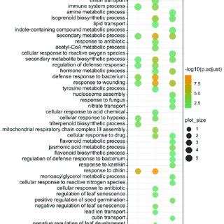 Go Functional Enrichment Analysis Of Degs Between Vi And Ecw At