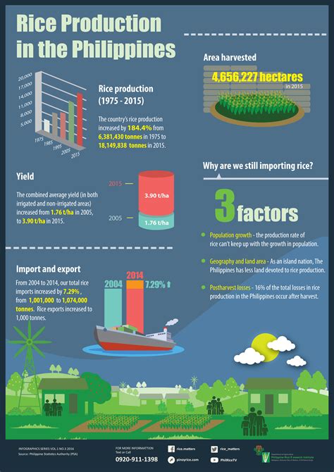 Infographics Philippine Rice Research Institute Philippine Rice