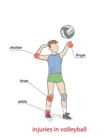 Qué partes del cuerpo se trabaja en el voleibol Haras Dadinco