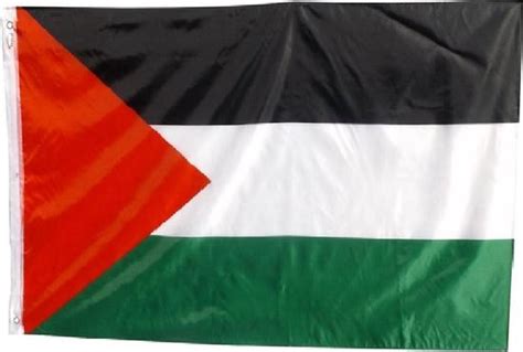 Palestijnse Vlag Palestina 90 X 150 Cm Bol