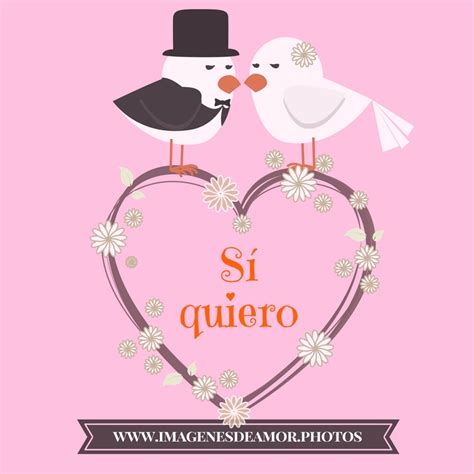 Frases Graciosas Para Bodas - SEONegativo.com