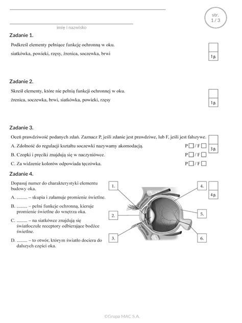 Oko Narząd Wzroku Pdf