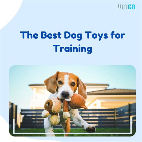 The Best Dog Toys for Training - Vetco Store