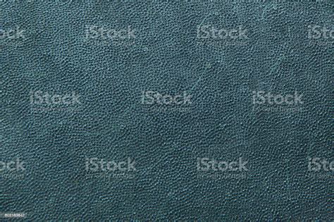 Antillean Manatee Skin Texture Stock Photo - Download Image Now - iStock