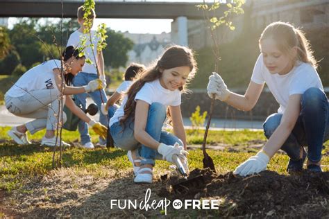 service project ideas    summer fun cheap