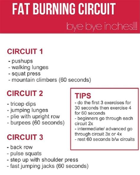 Circuit Training news: Circuit Training Workout Routines