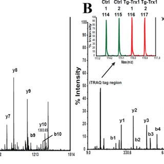 Peptide Identification And Quantitation By Icat And Itraq Panel A