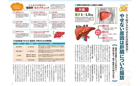 肝臓の名医が明かす！ 1週間で内臓脂肪が自然に落ちる本│宝島社の通販 宝島チャンネル