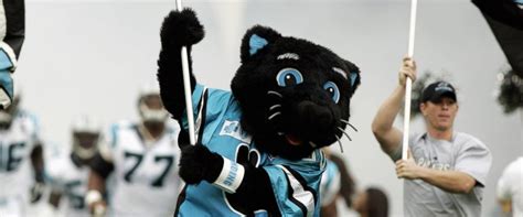 Meet Carolina Panthers Mascot 'Sir Purr' - ABC News