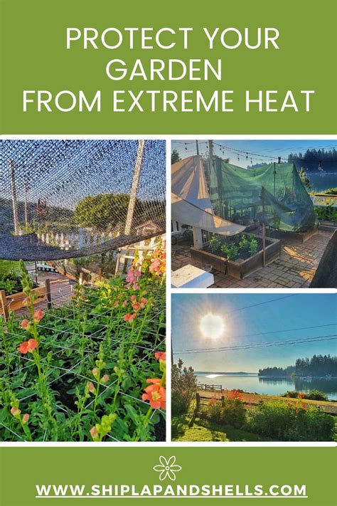 9 Ways To Protect Your Garden From Extreme Heat Shiplap And Shells