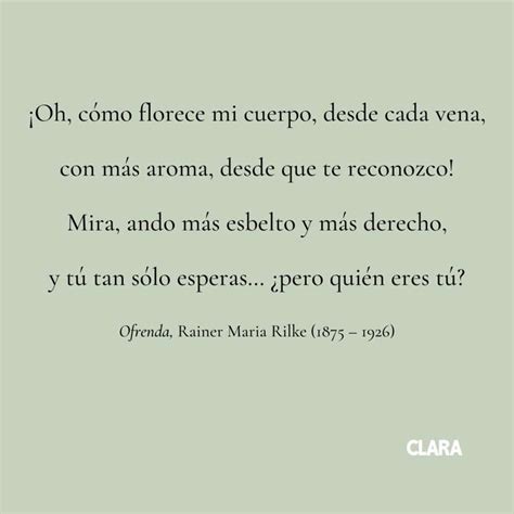 Poemas De Amor Cortos Para Decir Te Quiero De Forma Especial