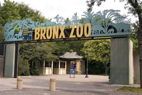 Bronx Zoo Tickets - Hellotickets