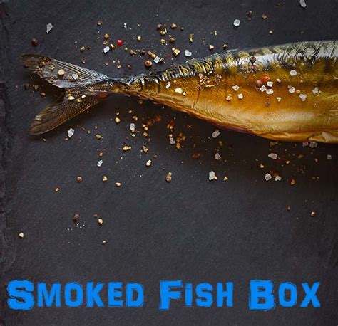 List 99 Pictures How To Smoke Fish In A Smoker Box Updated