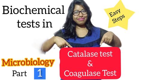 Catalase And Coagulase Test Biochemical Test In Microbiology Youtube