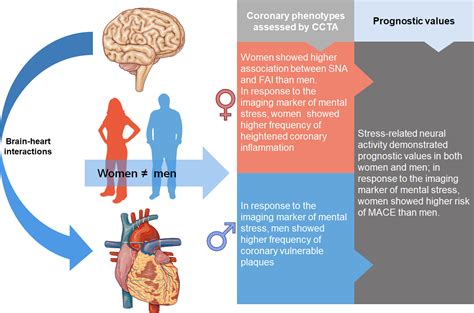 Sex Differences In Coronary Inflammation And Atherosclerosis Phenotypes