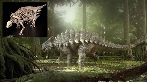 Descubren Una Nueva Especie De Dinosaurio Acorazado Con P As Mystery