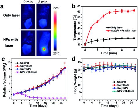 A IR Thermal Images Of 4T1 Tumor Bearing Mice With Or Without Au Pt