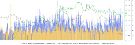 Recent Bitcoin Price Crash Triggers Whales To Scoop Btc At Discount