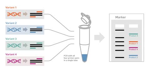 What is multiplex PCR?