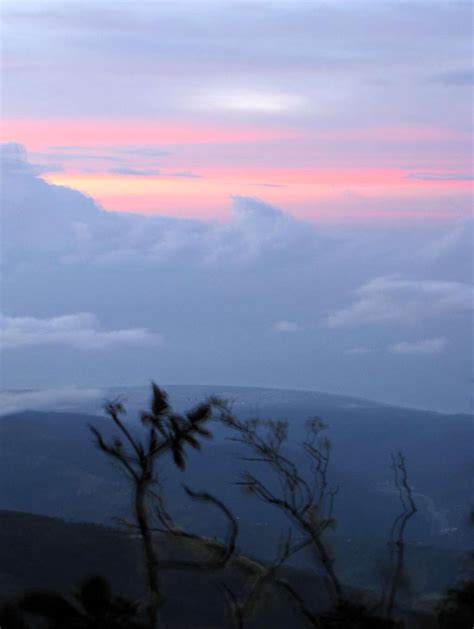 Sunrise on Blue Mountain Peak, Jamaica : Photos, Diagrams & Topos : SummitPost