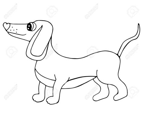 Perro Salchicha Para Colorear