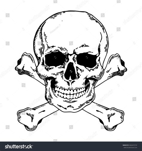 Skull Bones Pirate Symbol Jolly Roger Stock Vector Royalty Free