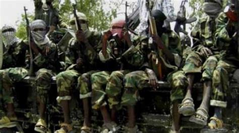 Boko Haram Kills 7 New Army Recruits Abducts Female Soldier