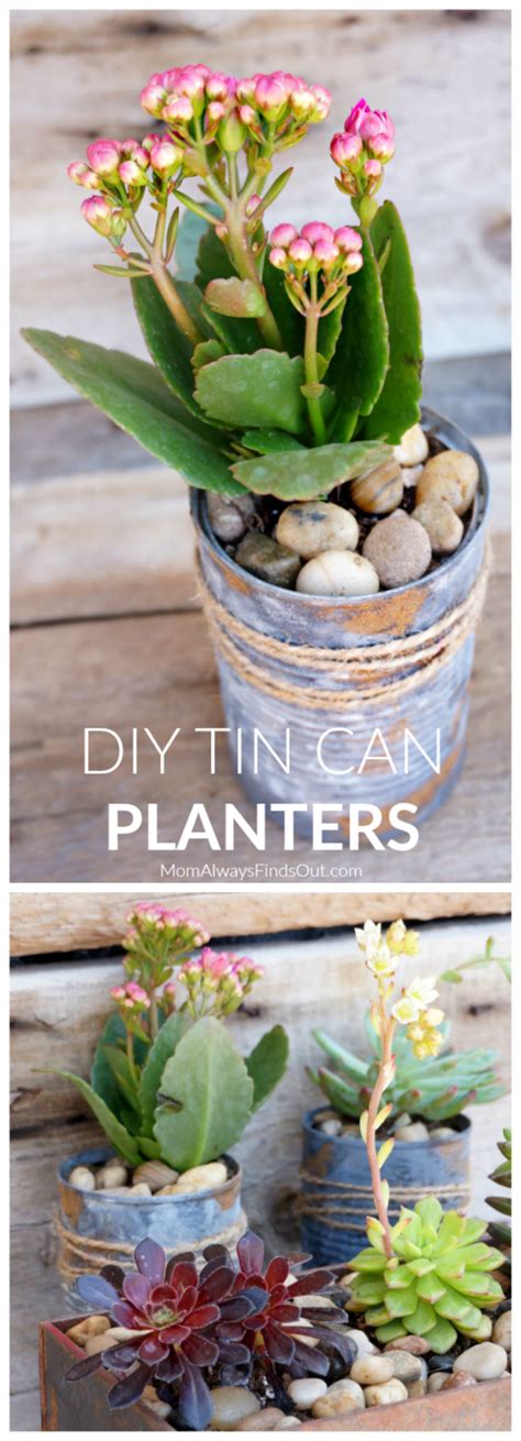 DIY Tin Can Planters Perfect For Succulents, Small Plants, and Flowers