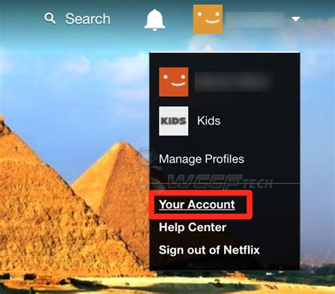 how to find my account on netflix