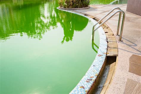 Guia De Como Limpar Piscina Verde Em Minutos Blog Da Cobasi