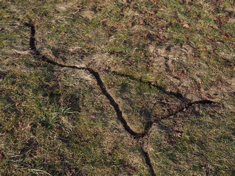 mouse speedawaypathmouse pathmauspfad  image  needpixcom