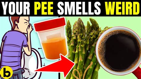 9 Reasons Why Your Pee Smells Weird — And How To Fix It Youtube