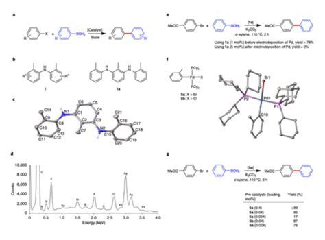 The Palladium In The Amine Bedfordcatalysis