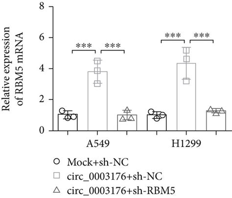 Hsa Circ Suppressed The Proliferation Migration And Invasion