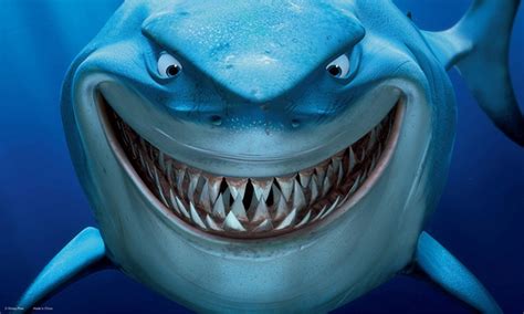 Image Finding Nemo Shark Aquarium Background Hungry Shark Wiki