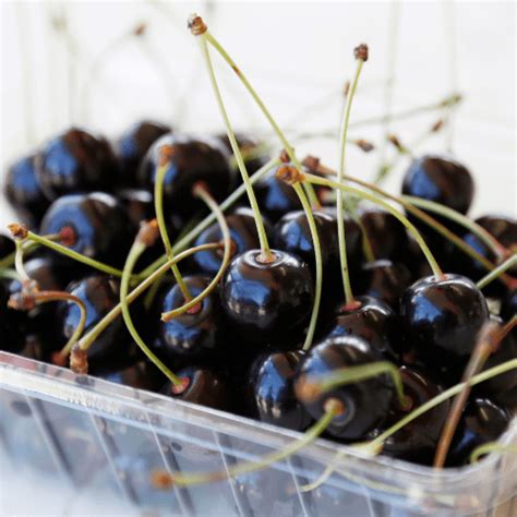 Mexicancapulin Cherry Tree Just Berry Plants