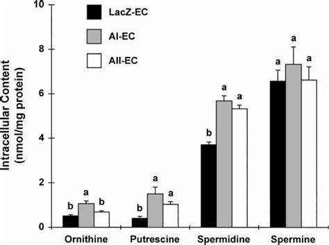 Intracellular Content Of Ornithine And Polyamines In Transfected Ec