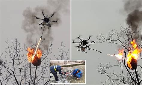 Drone Is Converted Into A Flying Flamethrower To Destroy 100 Wasp Nests