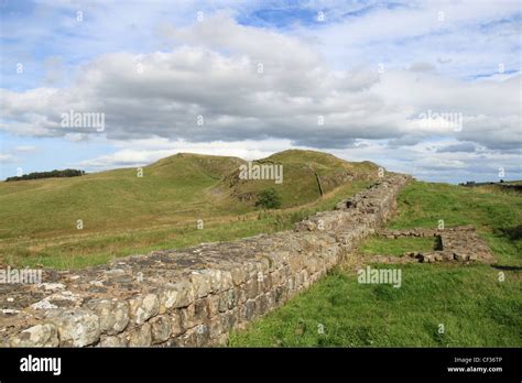 Hadrian S Wall And Turret A At Caw Gap Looking East Northumberland