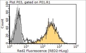 Anti PD 1 Antibody Clone RMP1 14 Clone RMP1 14 From Rat Sigma Aldrich