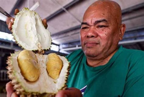 Durian Pak Yas Lubuk Peminat Raja Buah Astro Awani