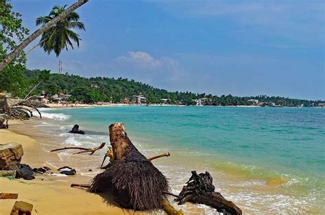 A Guide To The Best Beaches In Sri Lanka Including Weligama Beach