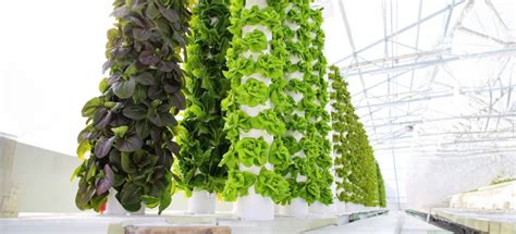 What Is A Living Tower | #1 In Sustainable Gardening | Maximize Your ...