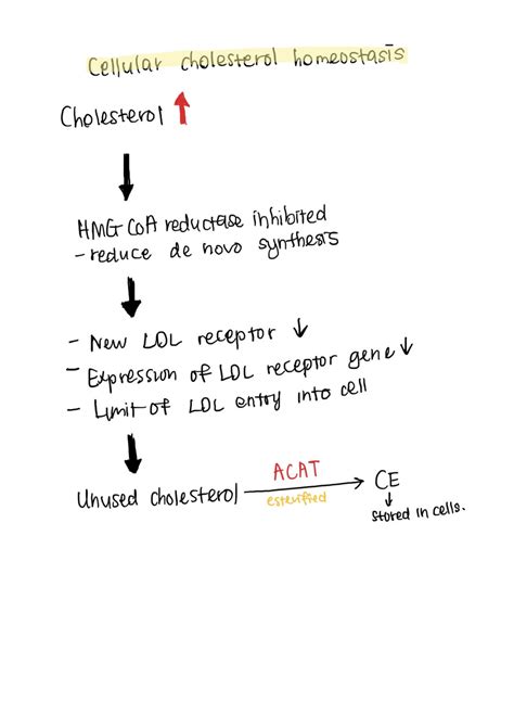 LIPOPROTEIN METABOLISM - Notes - MyPrivateTutor Malaysia