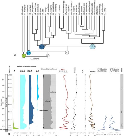 ODP Site 976 A Dendrogram Resulting From The Hierarchical Clustering