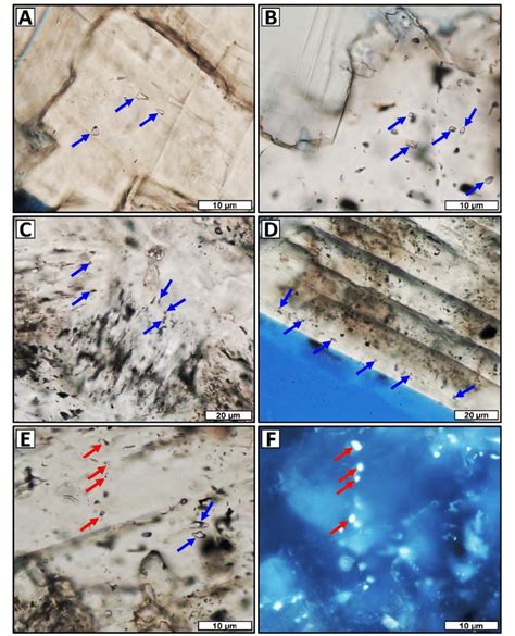 Photomicrographs Showing Examples Of Fluid Inclusions Fis In