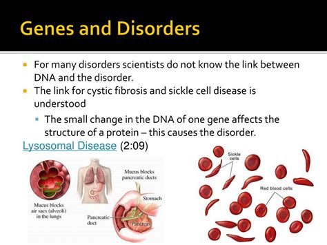 Ppt Chapter 14 Human Genetics Powerpoint Presentation Free Download Id2170557