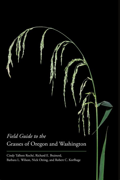 Field Guide To The Grasses Of Oregon And Washington By Cindy Talbott